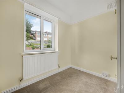 Picture 16
